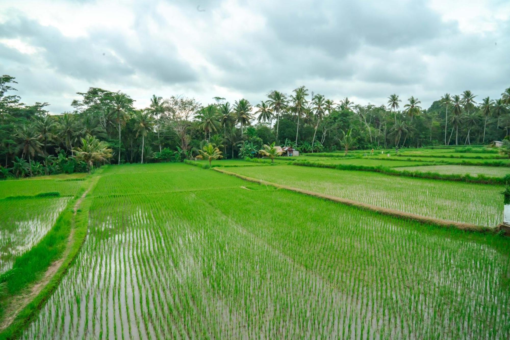 Tulus Hati Ubud Retreat Εξωτερικό φωτογραφία
